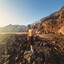 AsleKar -