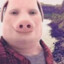 John Pork
