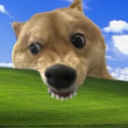 娇美熊0为爱做1