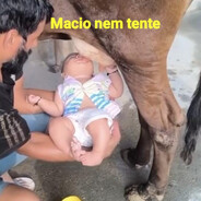 avatar XaropinhoD14