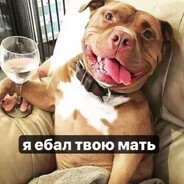 гандон поттер - steam id 76561198782299757