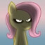 Fluttershay