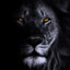 KING90