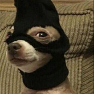 Die_GemaskerdeSopBeen_