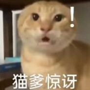 身不由己 做回自己