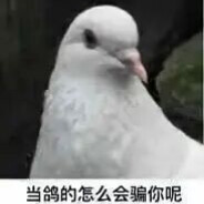 湖南周某人