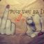 &lt;&lt;kea&gt;&gt;----