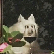 妇产科临床宝贝