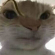 帝国绝凶の鼠王