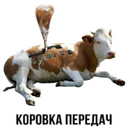 КОРОВКА ПЕРЕДАЧ Steam avatar