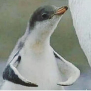 sniti10