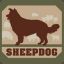 SheepDog