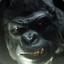 Grodd