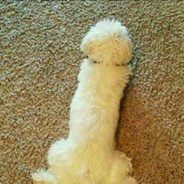 你拿什么感同身受