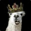 King Llama