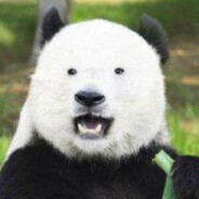 中国队长燕双鹰