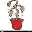roundup