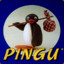 Pingu