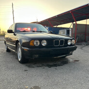 ПуЛи_От_БаБуЛи