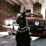 GePaRdA_RaD_nO_Globala