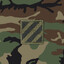 CPT J. Harrison [3rd ID]