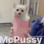 Mc.Pussy