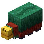 Armadillo