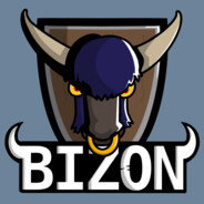 BiZoN