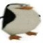 NIBUS