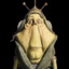 Ben Quadinaros