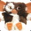 Mogwai