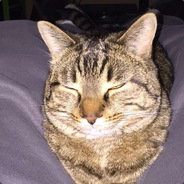 TMoney - steam id 76561197960447147