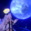 StarGazer