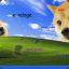 doge