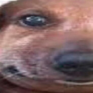 Чапка пипсов