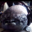 Gaming_Seal
