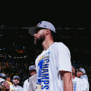 一点不蠢朱先生