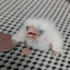 Bjork