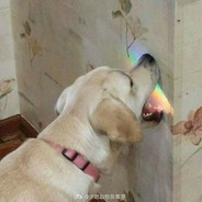 打点雾性