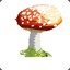 mushroom