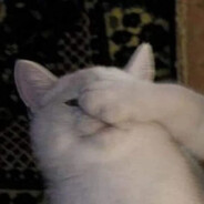 TOMΞX