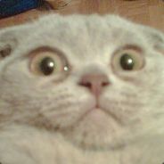 24242424