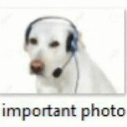 important photo