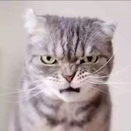 机电悍匪丶孙某