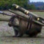 CombatWombat