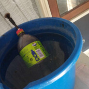 SIARZEWSKI MANGO HAZE