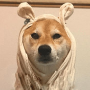 不要骂我我没麦