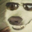 Ori