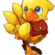CHOCOBO