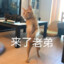 无双
